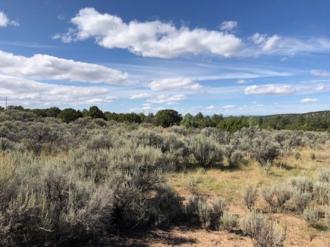 LAND - Truchas, NM