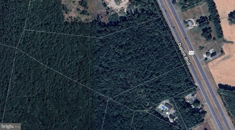 Wooded Acres in Georgetown, DE