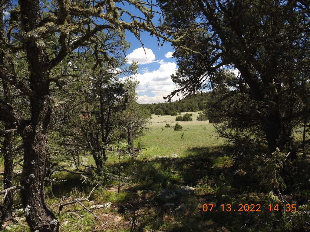 Picture 28