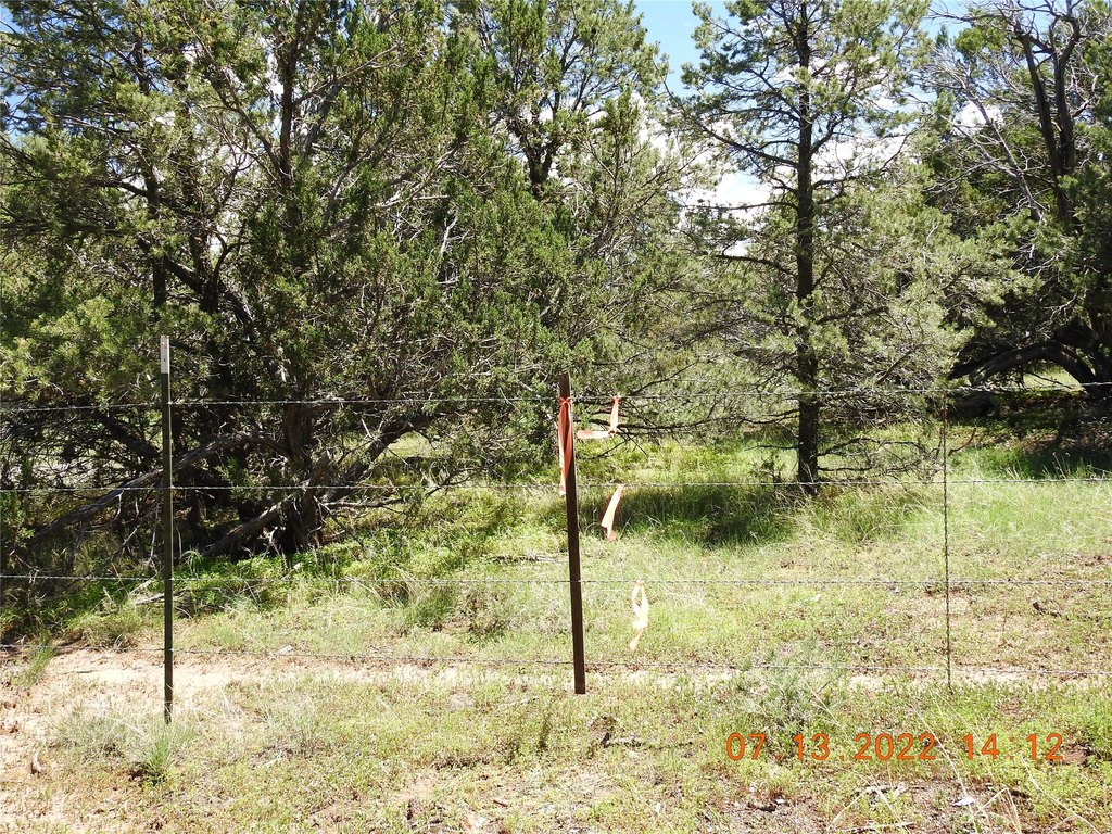 Picture 18