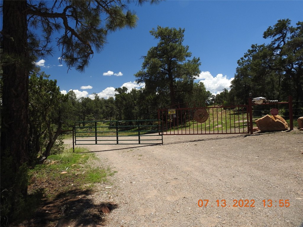 Picture 9