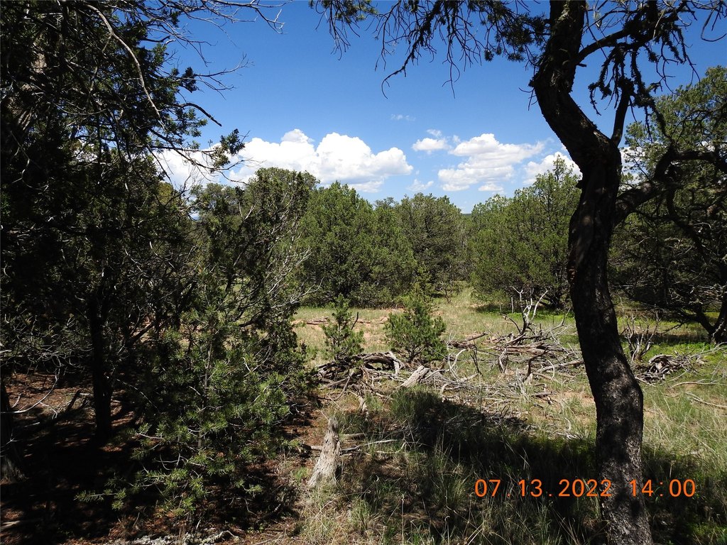 Picture 12