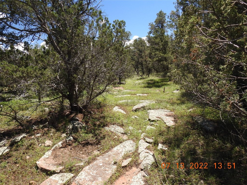 Picture 4