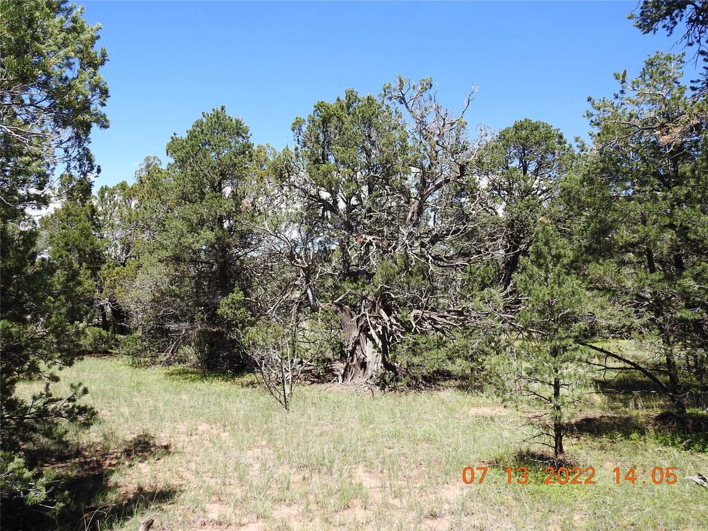 Picture 16