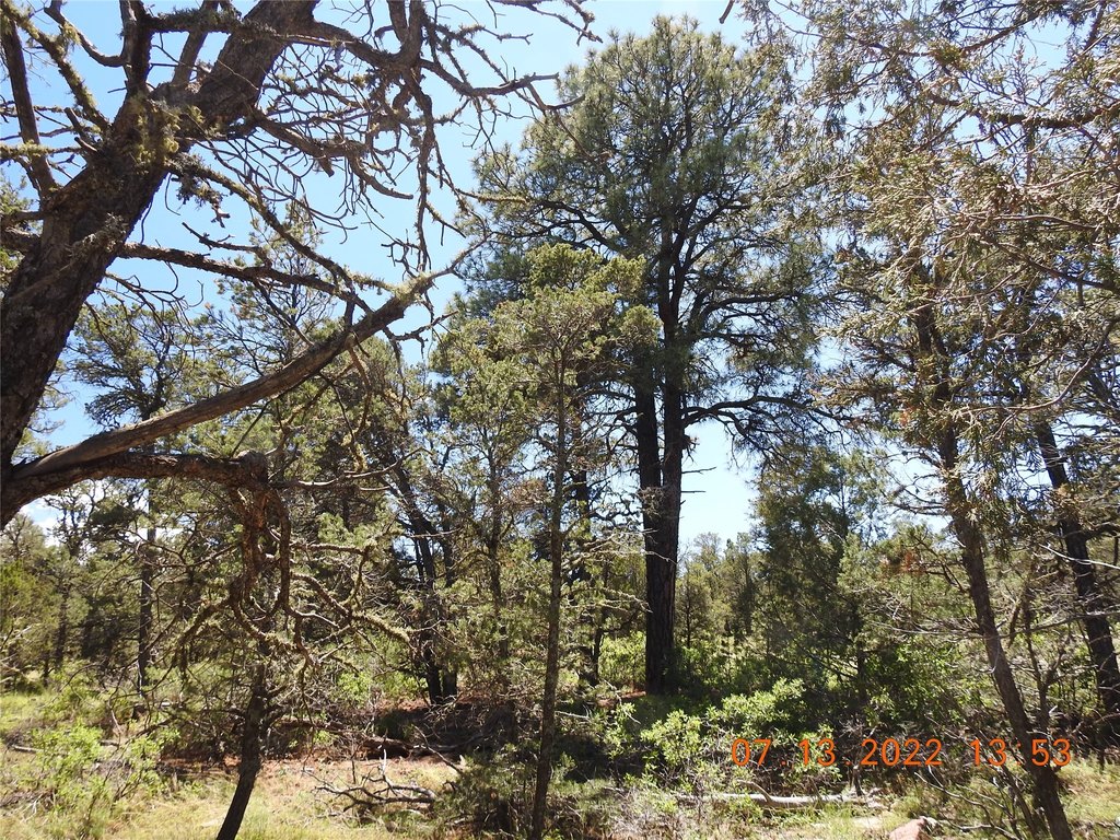 Picture 7