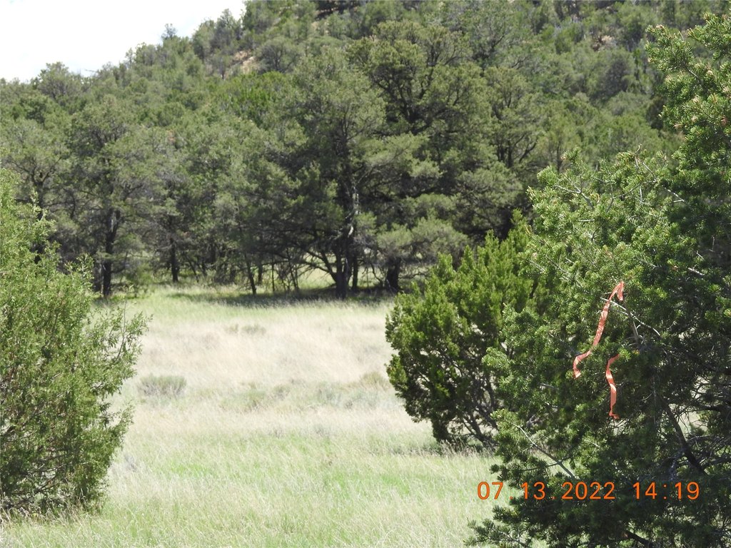 Picture 20