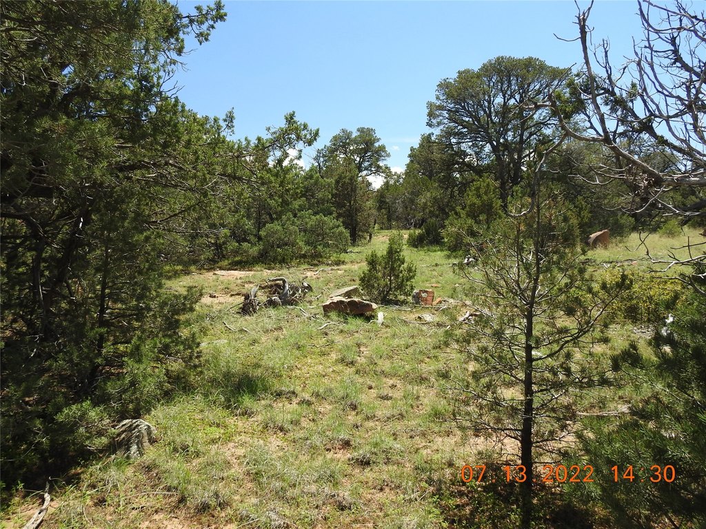 Picture 26