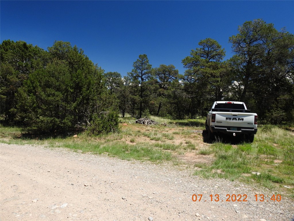 Picture 3