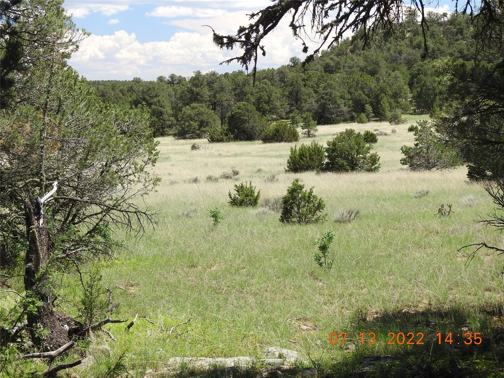 Picture 29