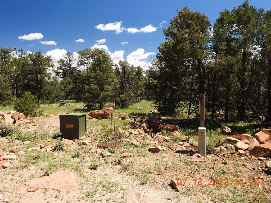 Picture 23