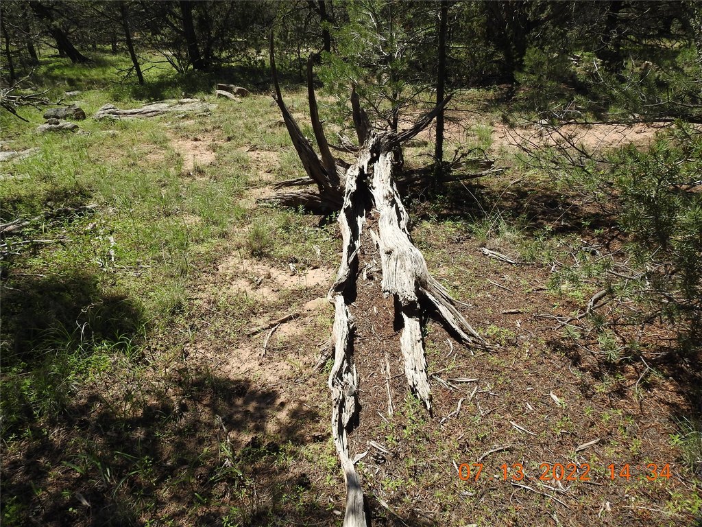 Picture 27