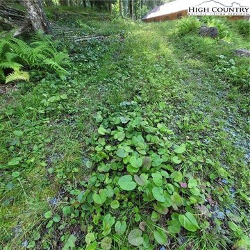 Beech Mountain Land For Sale