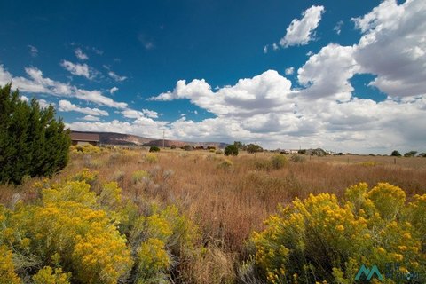 Land, Thoreau, NM