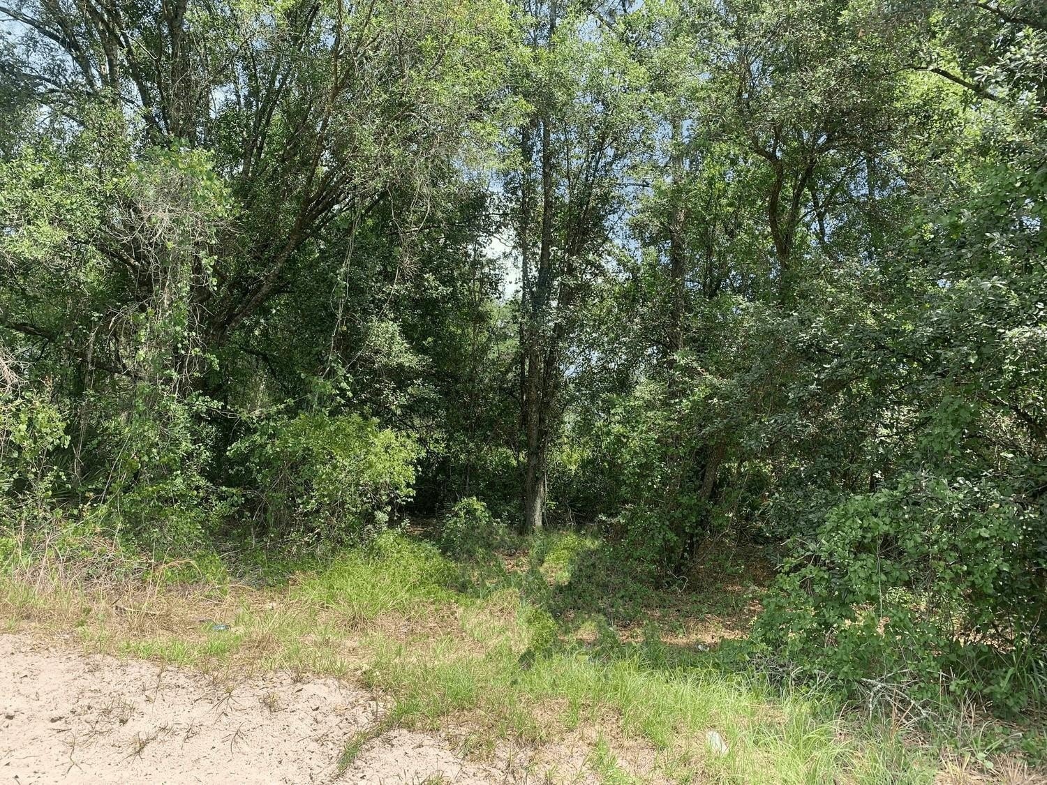 Recreational Land in Rancho Bonito