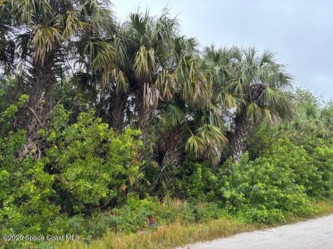 Palm Bay 0.23-Acre Residential Land