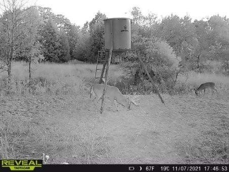 Picture 31