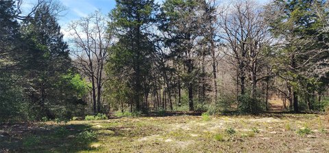 Rural Recreational Acreage with Creek
