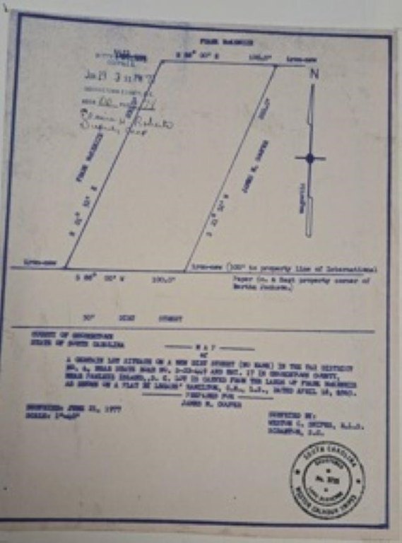 Picture 4