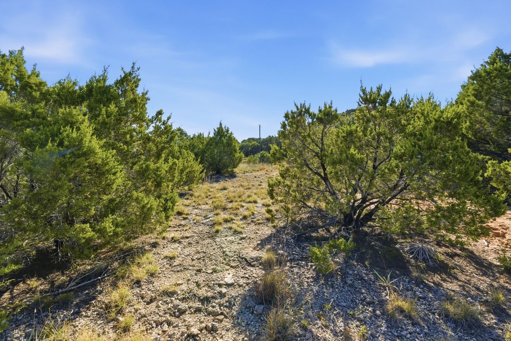 Picture 16