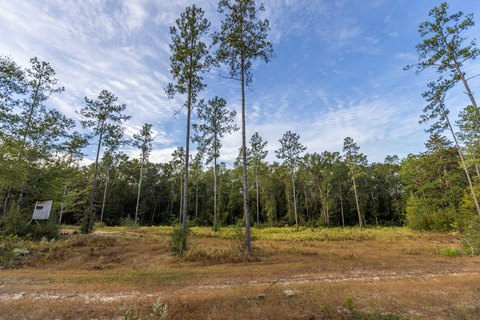 Rural Homesite with Creek Frontage