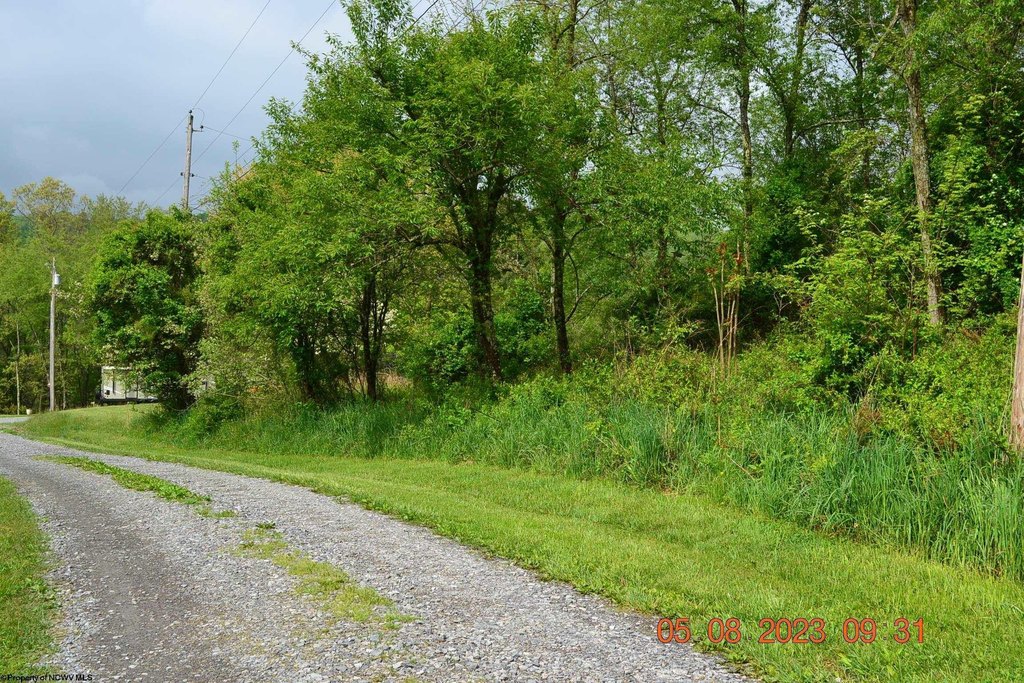 Picture 7