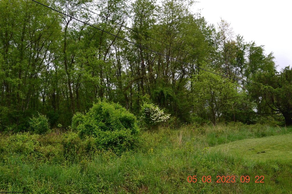 Picture 5