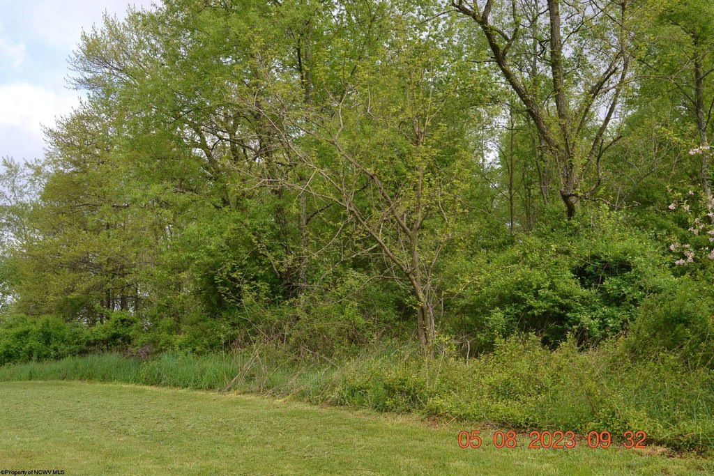 Picture 9