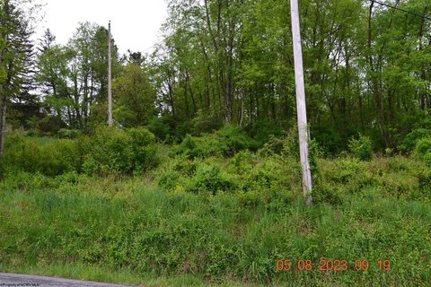 Grafton Land For Sale
