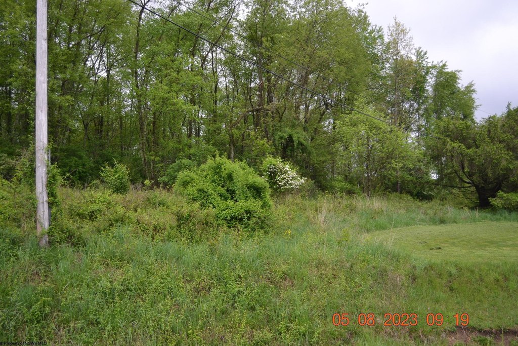 Picture 2