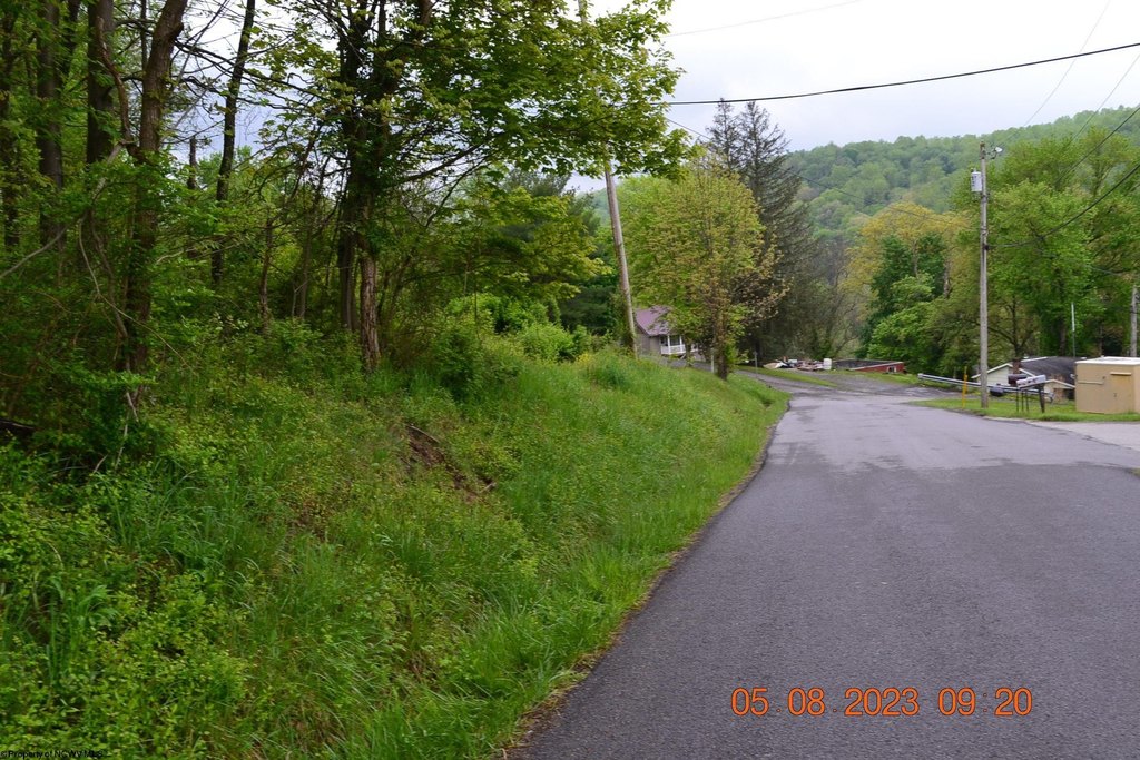 Picture 3