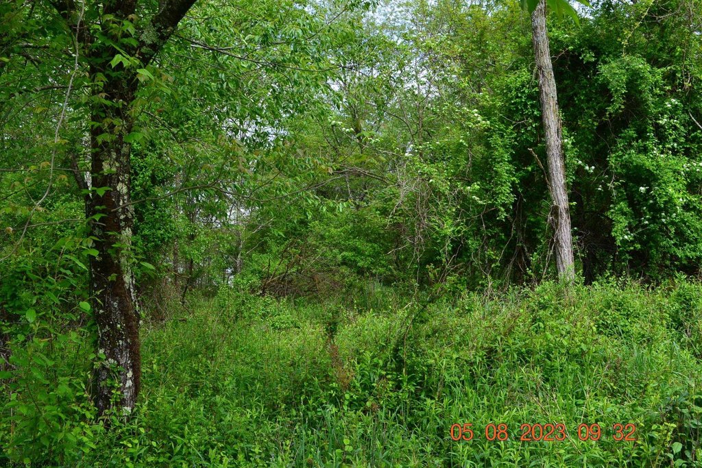Picture 8