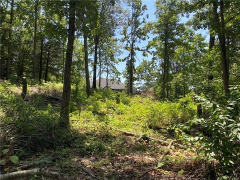 LAND - Bella Vista, AR