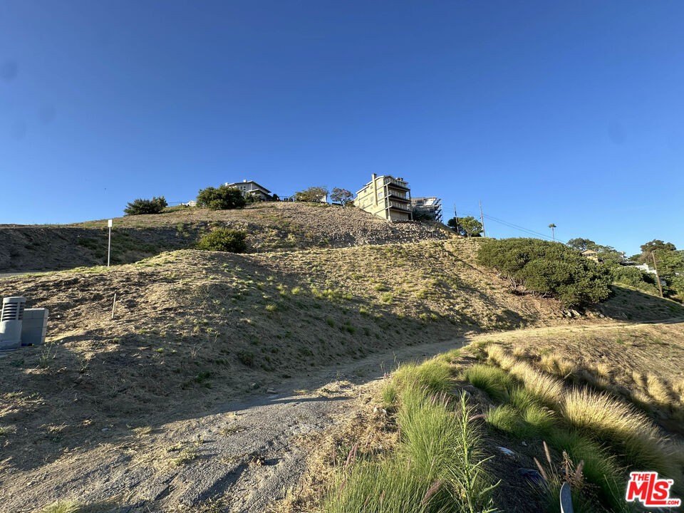 Picture 7