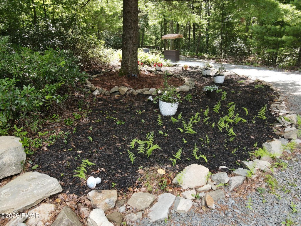 Picture 13