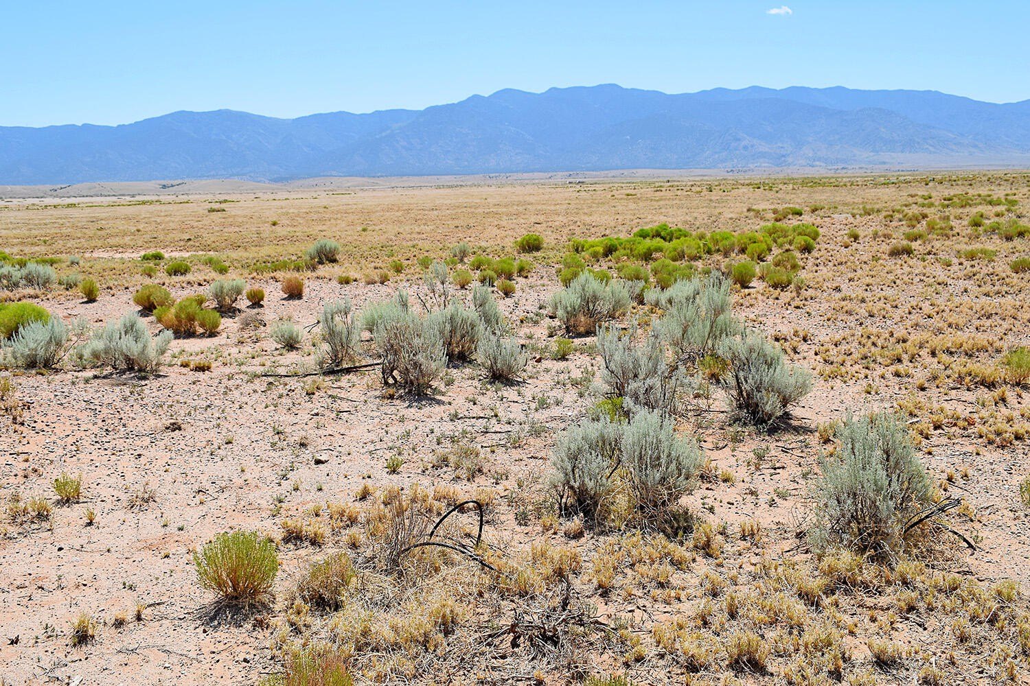 Land with Scenic Views