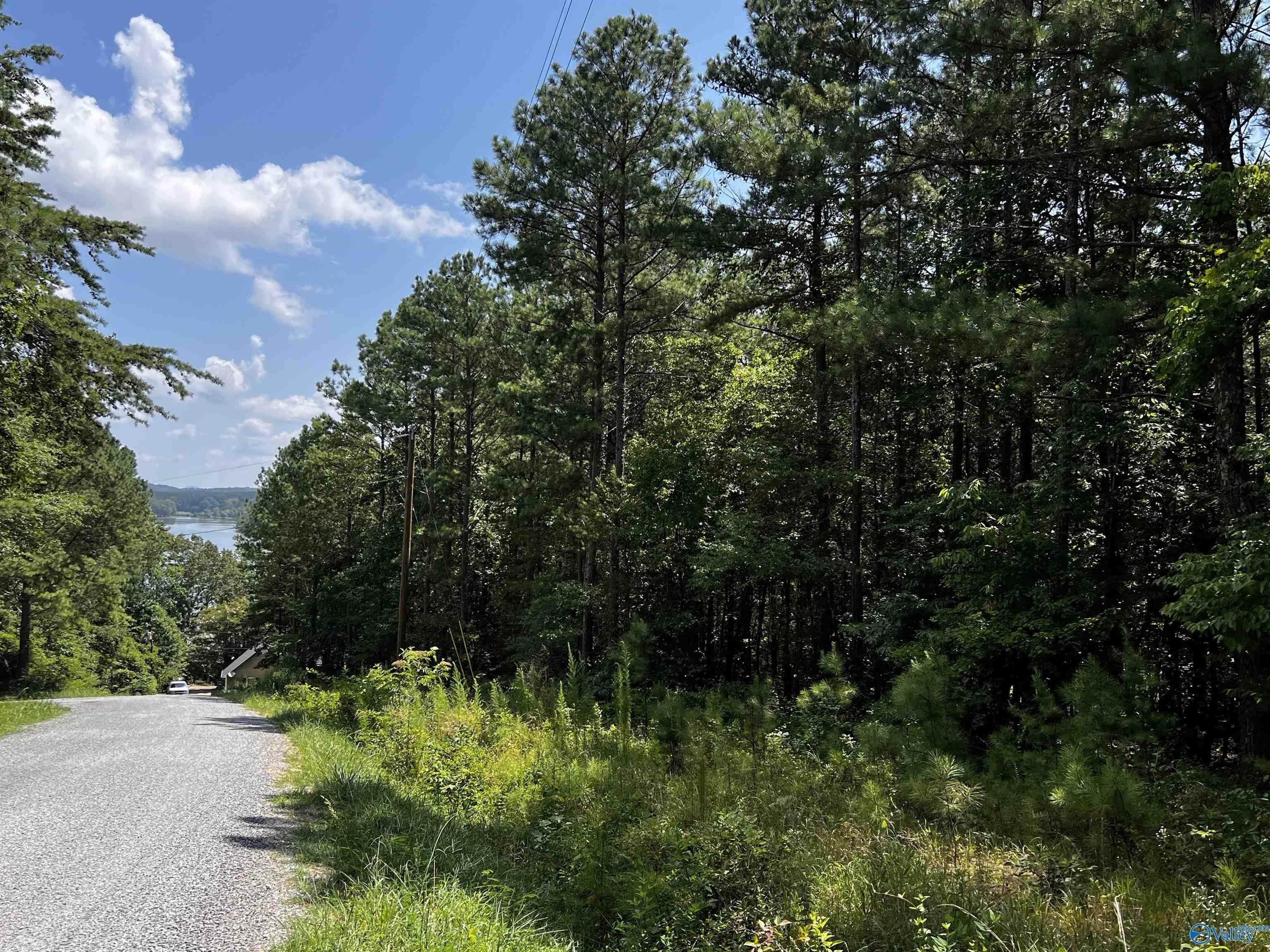 Land with Lake Access