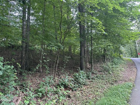 Land, Sevierville, TN