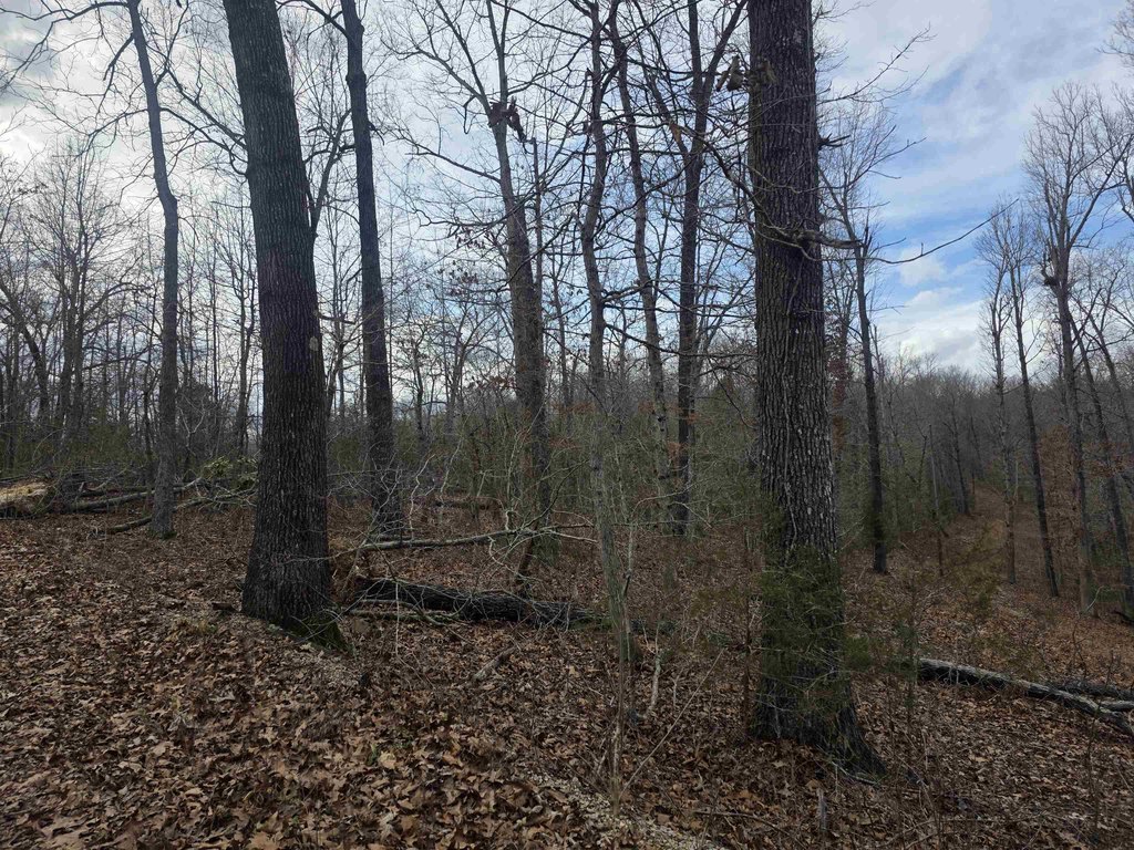 Picture 6