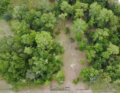 Land, WILLISTON, FL