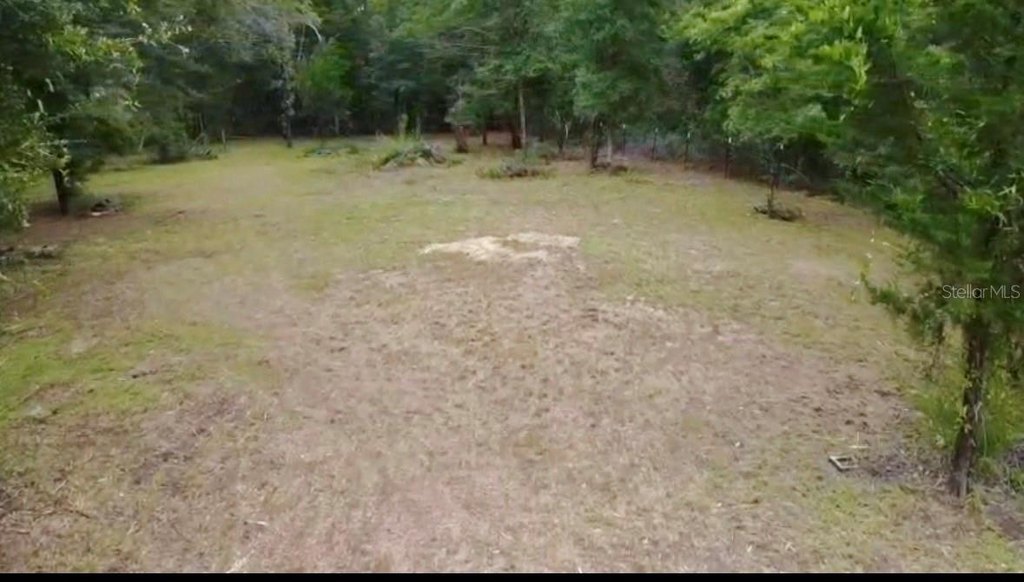 Picture 5