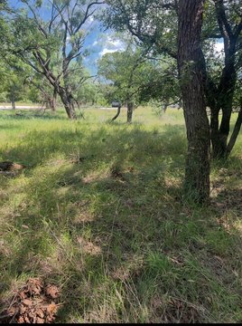 Lake Brownwood RV Lot