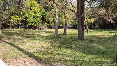 Vacant Land, Linden, MI
