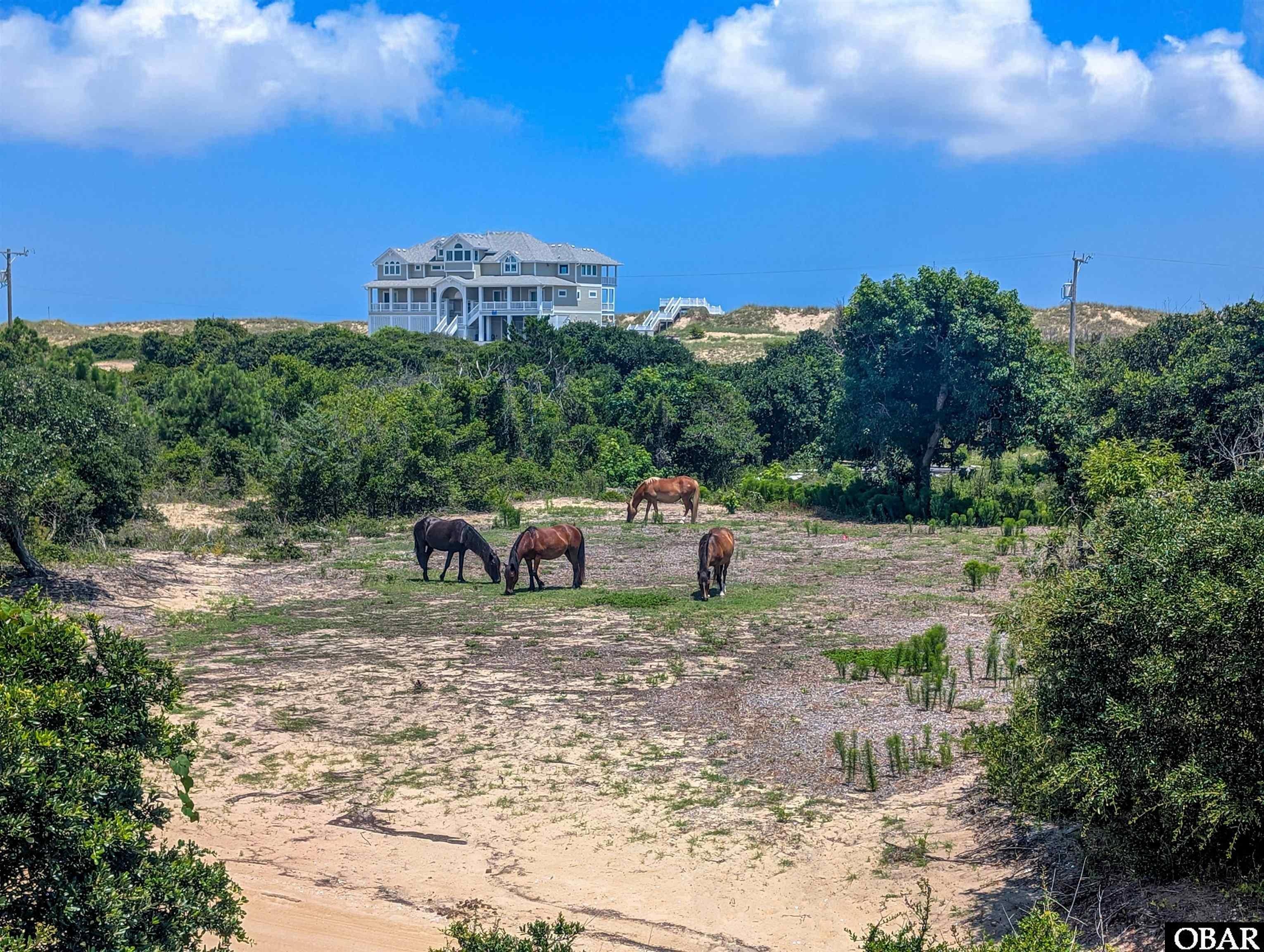 Cleared Lot Near Beach