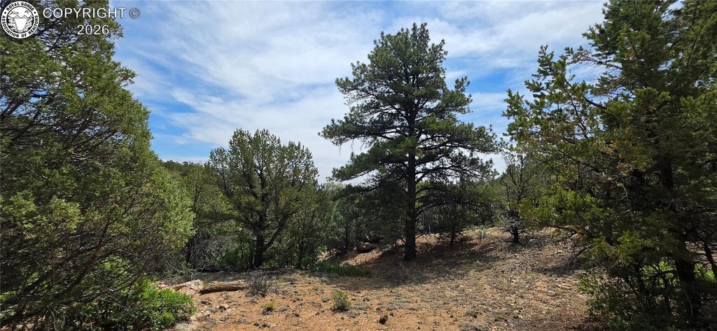 Picture 30