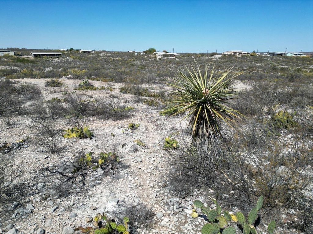 Picture 23