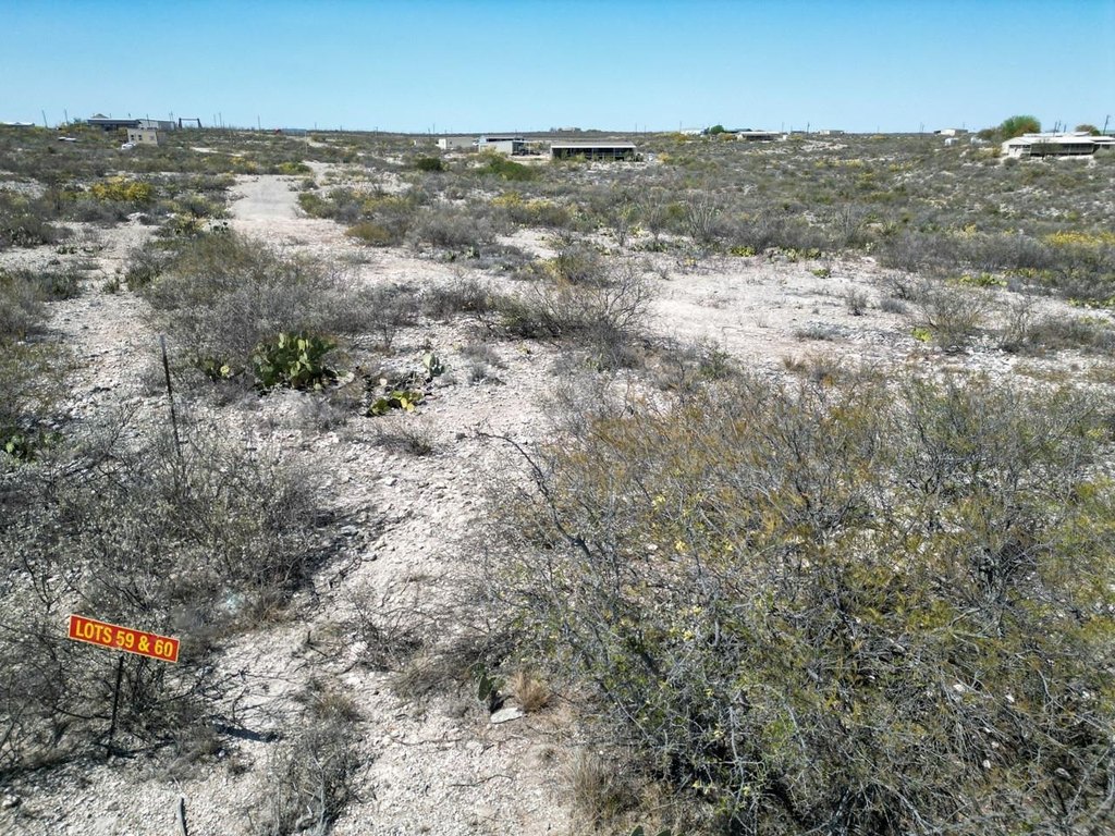 Picture 22
