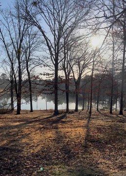 Residential Land in Sedgefield Subdivision