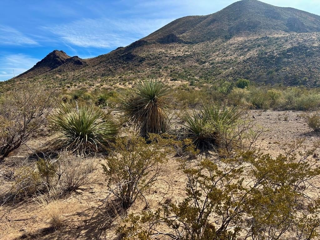Terlingua Ranch Road Land
