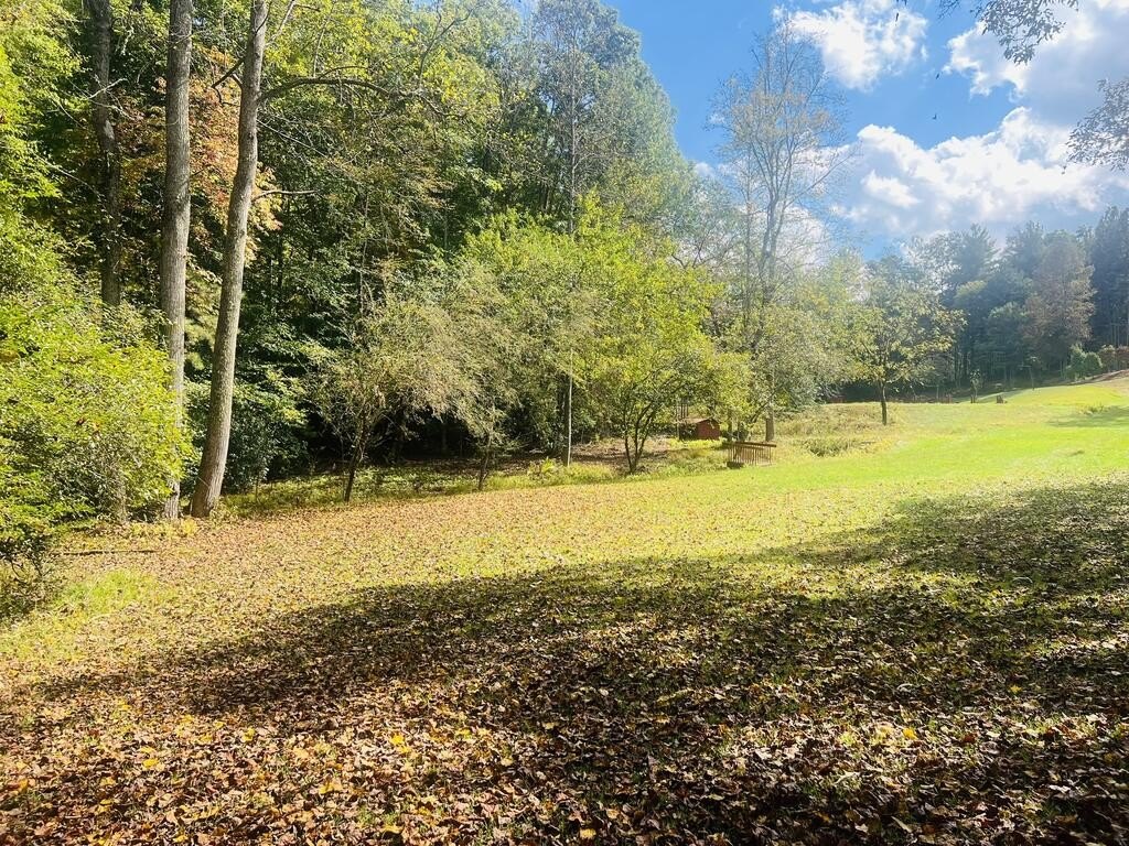 Picture 23
