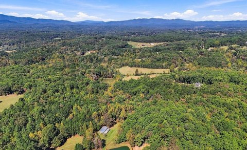 Acreage, Blue Ridge, GA
